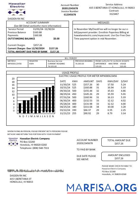 Downloadable USA Hawaiian Electric business utility bill template in Word and PDF formats